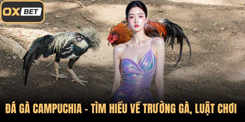 Đá gà Campuchia